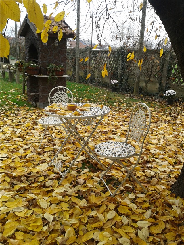 Moj vrt